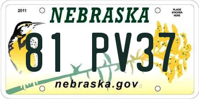 NE license plate 81PV37
