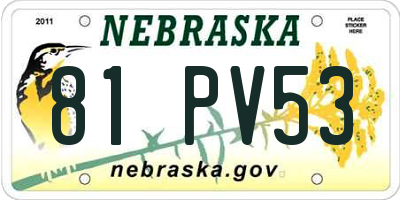 NE license plate 81PV53