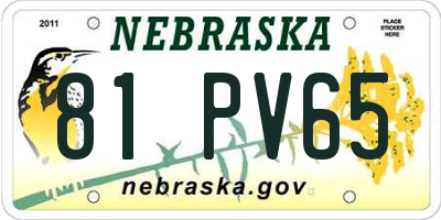 NE license plate 81PV65