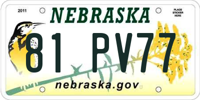 NE license plate 81PV77