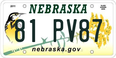 NE license plate 81PV87