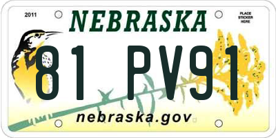 NE license plate 81PV91