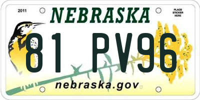 NE license plate 81PV96