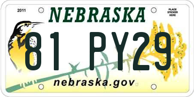 NE license plate 81PY29