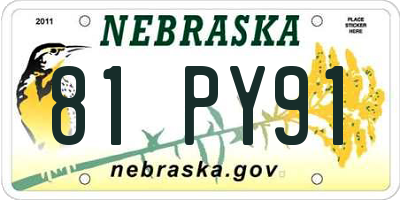 NE license plate 81PY91