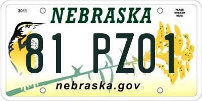 NE license plate 81PZ01