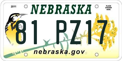 NE license plate 81PZ17