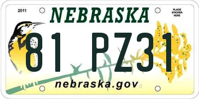 NE license plate 81PZ31