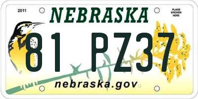 NE license plate 81PZ37