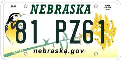 NE license plate 81PZ61