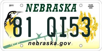 NE license plate 81QI53