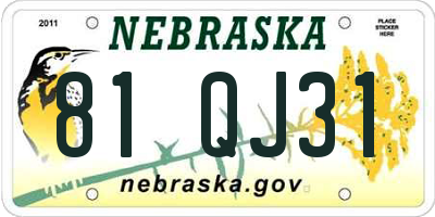 NE license plate 81QJ31