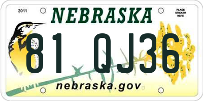 NE license plate 81QJ36