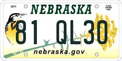 NE license plate 81QL30