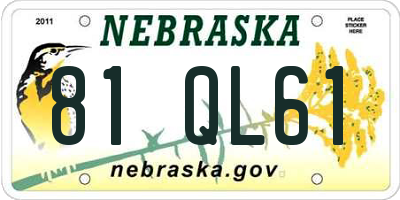 NE license plate 81QL61