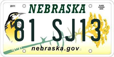 NE license plate 81SJ13