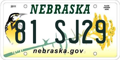 NE license plate 81SJ29