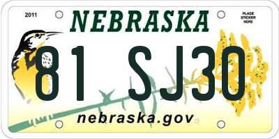 NE license plate 81SJ30