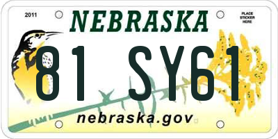 NE license plate 81SY61