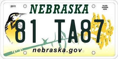 NE license plate 81TA87