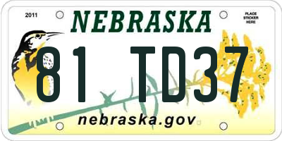 NE license plate 81TD37