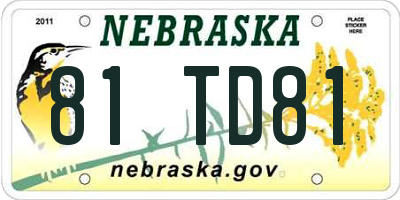NE license plate 81TD81