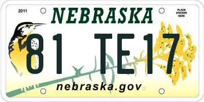 NE license plate 81TE17
