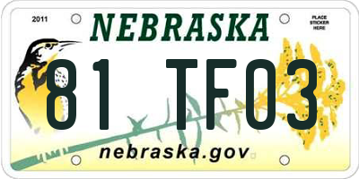 NE license plate 81TF03
