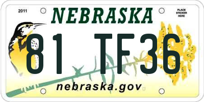 NE license plate 81TF36