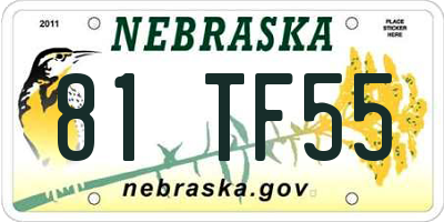 NE license plate 81TF55