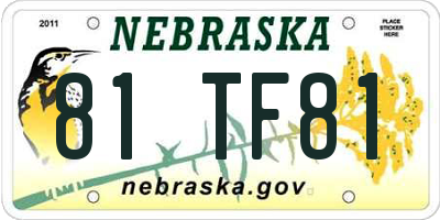 NE license plate 81TF81