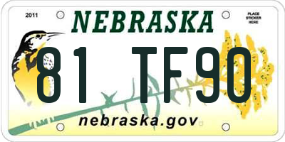 NE license plate 81TF90