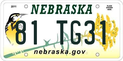 NE license plate 81TG31