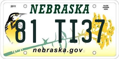NE license plate 81TI37