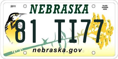 NE license plate 81TI77