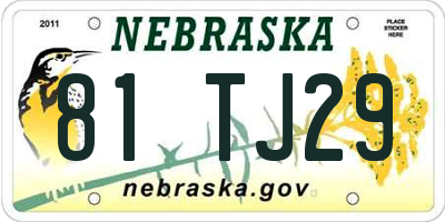 NE license plate 81TJ29
