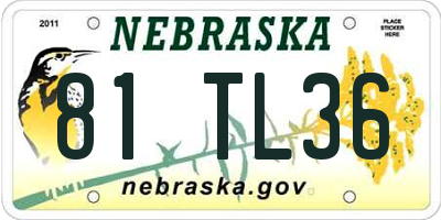 NE license plate 81TL36