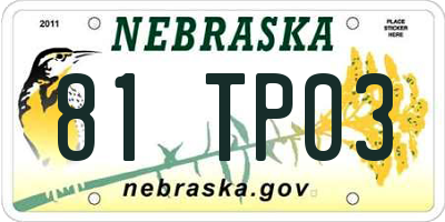 NE license plate 81TP03