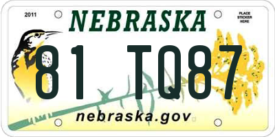 NE license plate 81TQ87