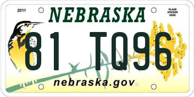 NE license plate 81TQ96