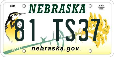 NE license plate 81TS37