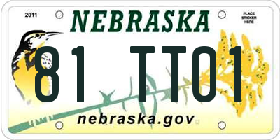 NE license plate 81TT01