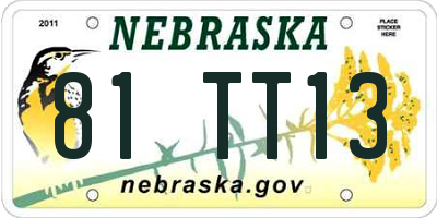 NE license plate 81TT13