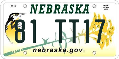 NE license plate 81TT17