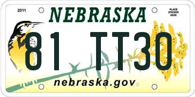 NE license plate 81TT30