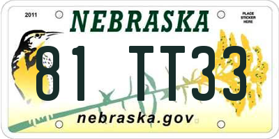 NE license plate 81TT33