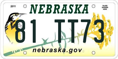 NE license plate 81TT73