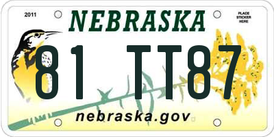 NE license plate 81TT87