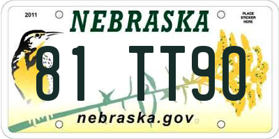 NE license plate 81TT90