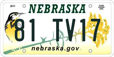 NE license plate 81TV17